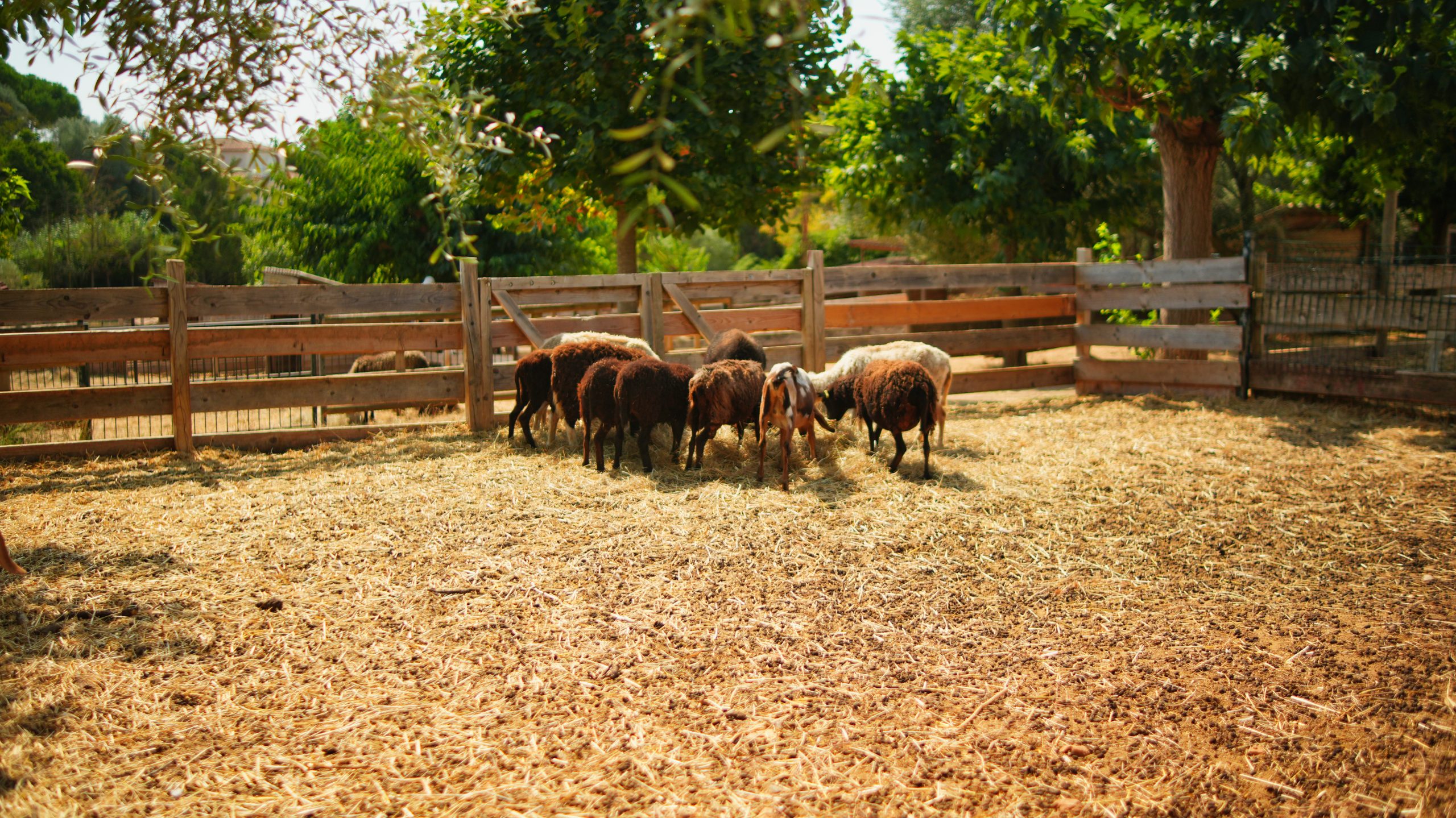 Réalisation de KLD Communication par Quentin Larmande : Ferme de Bouzigues — shooting photo et vidéo